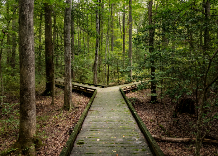 Business resilience through marketing mastery